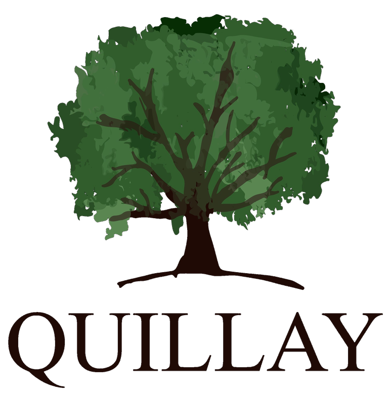 Quillay SpA